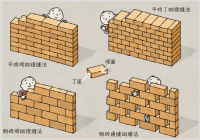 《怎样建一座大楼》建房子的书也能这样精彩